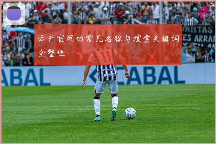云开官网的常见名称与搜索关键词全整理